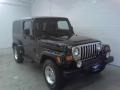 Black - Wrangler Unlimited 4x4 Photo No. 1