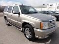 Silver Sand - Escalade AWD Photo No. 5
