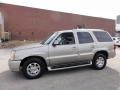 Silver Sand - Escalade AWD Photo No. 12