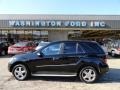 Black - ML 350 4Matic Photo No. 1