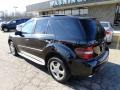 Black - ML 350 4Matic Photo No. 2