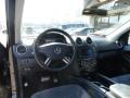 Black - ML 350 4Matic Photo No. 12