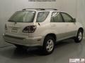 White Gold Crystal - RX 300 Photo No. 22
