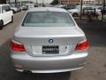 2009 Titanium Silver Metallic BMW 5 Series 528i Sedan  photo #8