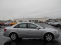 Radiant Silver - Sonata GLS Photo No. 15