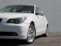 Alpine White - 5 Series 545i Sedan Photo No. 11