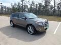 Mineral Grey Metallic 2012 Ford Edge Limited EcoBoost