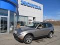 Platinum Bronze Metallic - X3 3.0si Photo No. 1