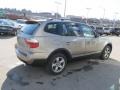 Platinum Bronze Metallic - X3 3.0si Photo No. 8