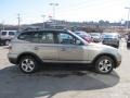 Platinum Bronze Metallic - X3 3.0si Photo No. 9