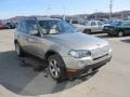 Platinum Bronze Metallic - X3 3.0si Photo No. 10