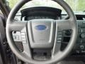 Steel Gray Steering Wheel Photo for 2012 Ford F150 #61349741