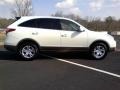 2008 Stone White Hyundai Veracruz GLS  photo #17