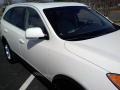 2008 Stone White Hyundai Veracruz GLS  photo #20