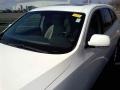 2008 Stone White Hyundai Veracruz GLS  photo #21