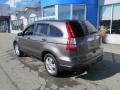 2010 Urban Titanium Metallic Honda CR-V EX AWD  photo #4