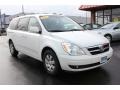 2007 Cosmic White Hyundai Entourage GLS  photo #18