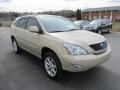 2009 Golden Almond Metallic Lexus RX 350 AWD  photo #5