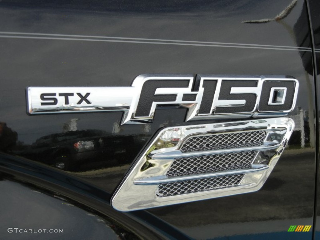 2010 F150 STX Regular Cab - Tuxedo Black / Medium Stone photo #9