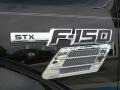 2010 Tuxedo Black Ford F150 STX Regular Cab  photo #9