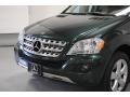 Jade Green Metallic - ML 350 4Matic Photo No. 4