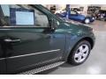 Jade Green Metallic - ML 350 4Matic Photo No. 10