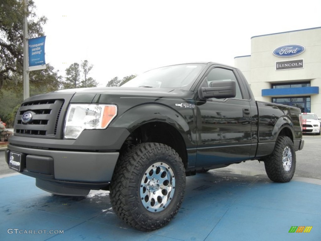 Green Gem Metallic 2012 Ford F150 XL Regular Cab Exterior Photo #61366548