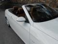 2008 Alpine White BMW 3 Series 335i Convertible  photo #19