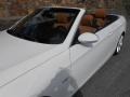 2008 Alpine White BMW 3 Series 335i Convertible  photo #22