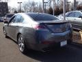 2009 Polished Metal Metallic Acura TL 3.7 SH-AWD  photo #6