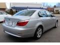 Titanium Silver Metallic - 5 Series 528xi Sedan Photo No. 5