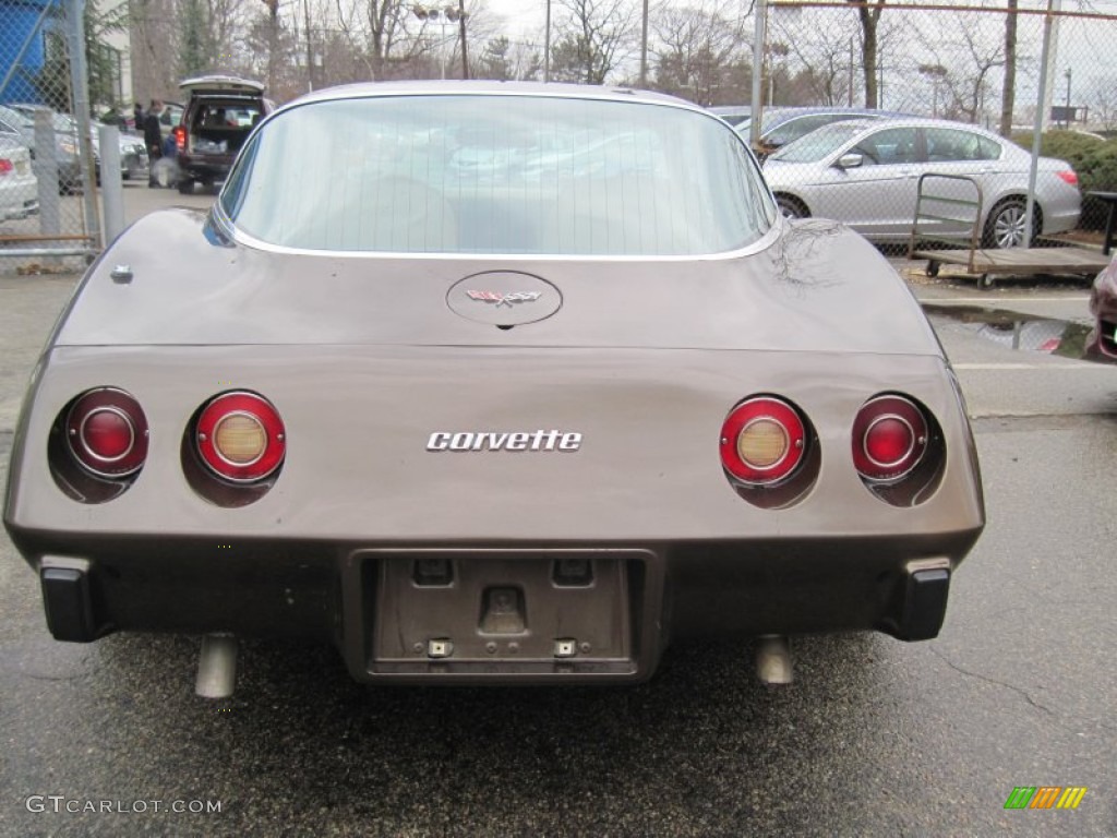 1979 Corvette Coupe - Dark Brown / Light Beige photo #5
