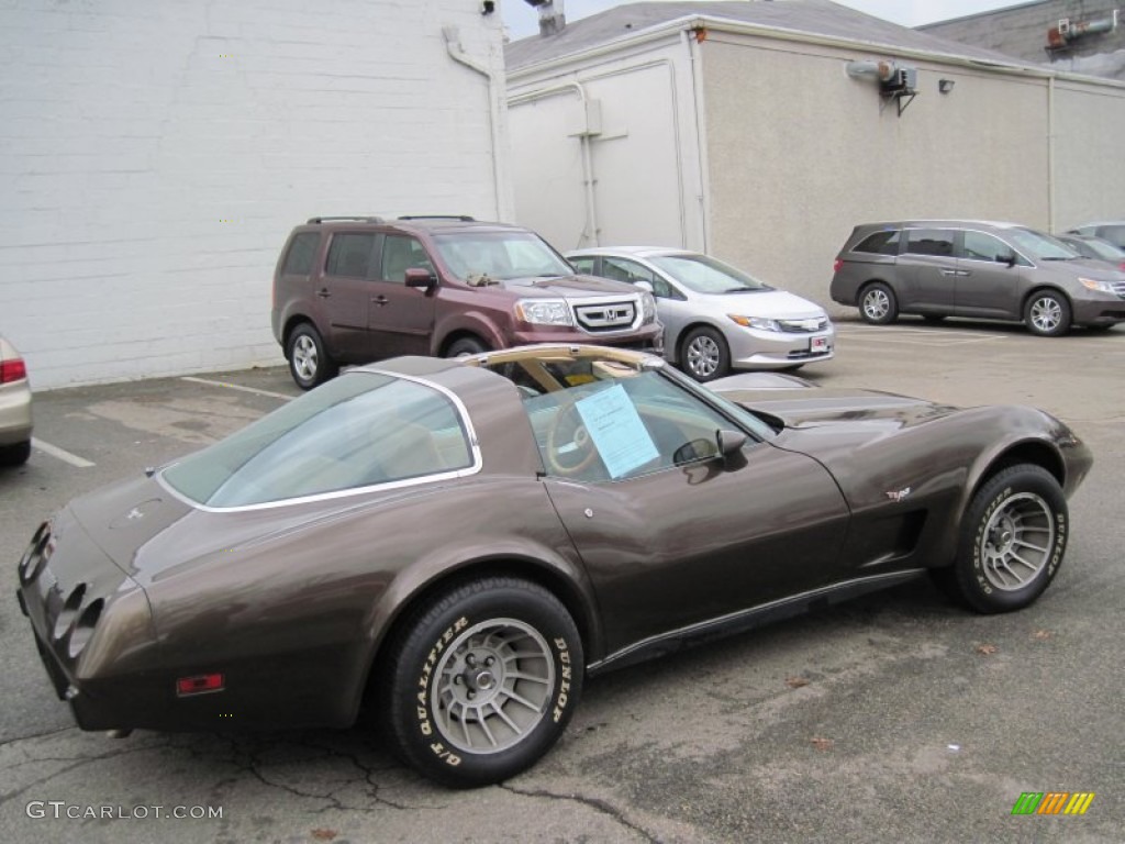 Dark Brown 1979 Chevrolet Corvette Coupe Exterior Photo #61378137