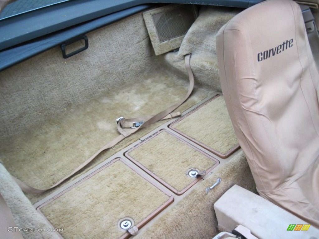 1979 Chevrolet Corvette Coupe Rear Seat Photo #61378182