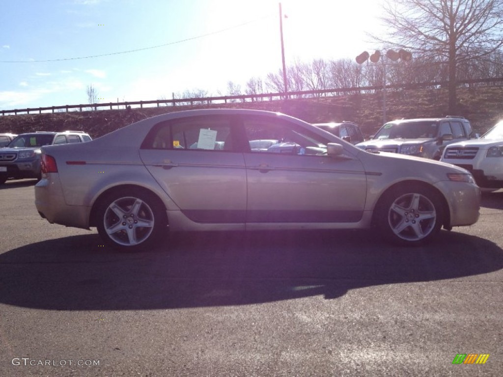 2005 TL 3.2 - Desert Mist Metallic / Camel photo #8