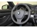 Black Steering Wheel Photo for 2012 BMW 5 Series #61379103