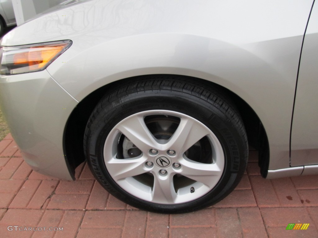 2010 TSX Sedan - Palladium Metallic / Ebony photo #8