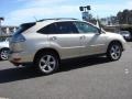 Savannah Metallic - RX 350 Photo No. 4