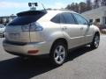 Savannah Metallic - RX 350 Photo No. 5