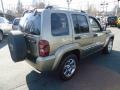 2006 Light Khaki Metallic Jeep Liberty Limited 4x4  photo #5