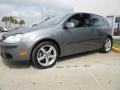 United Grey Metallic - Rabbit 2 Door Photo No. 3