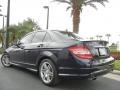 Capri Blue Metallic 2009 Mercedes-Benz C 350 Sport Exterior