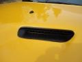 Stinger Yellow - Challenger SRT8 Yellow Jacket Photo No. 23
