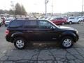 2008 Black Ford Escape XLT 4WD  photo #5