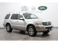 Silver Birch Metallic - Mountaineer Premier AWD Photo No. 1