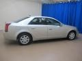 Light Platinum - CTS Sedan Photo No. 10