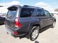 2004 Galactic Gray Mica Toyota 4Runner SR5 4x4  photo #9