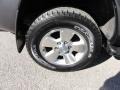 2004 Galactic Gray Mica Toyota 4Runner SR5 4x4  photo #34