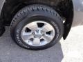 2004 Galactic Gray Mica Toyota 4Runner SR5 4x4  photo #42