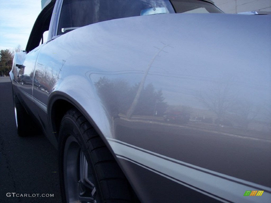1968 Camaro Convertible - Blade Silver Metallic / Pearl Parchment Houndstooth photo #90